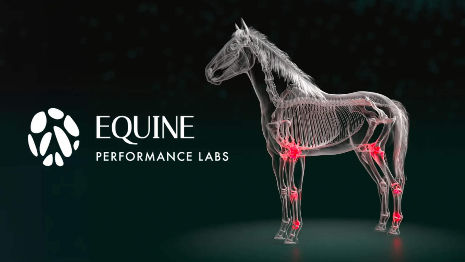Equine Performance Lab animation still