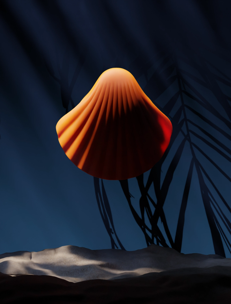 Shell Bud | Underwater II