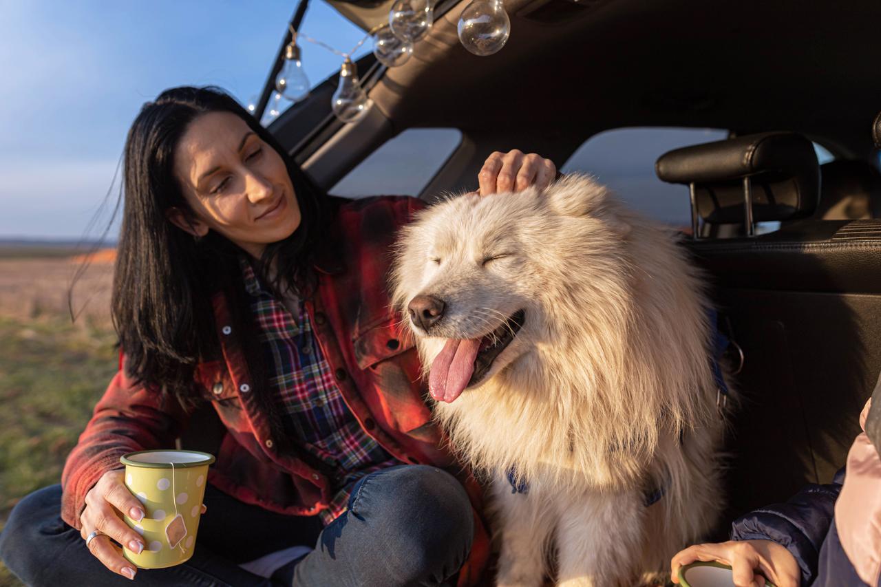 Billede af en dame og en hund, der sidder bagerst i bilen med bagklappen åben og solen i ansigtet