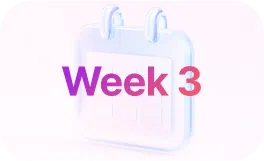 Week 3