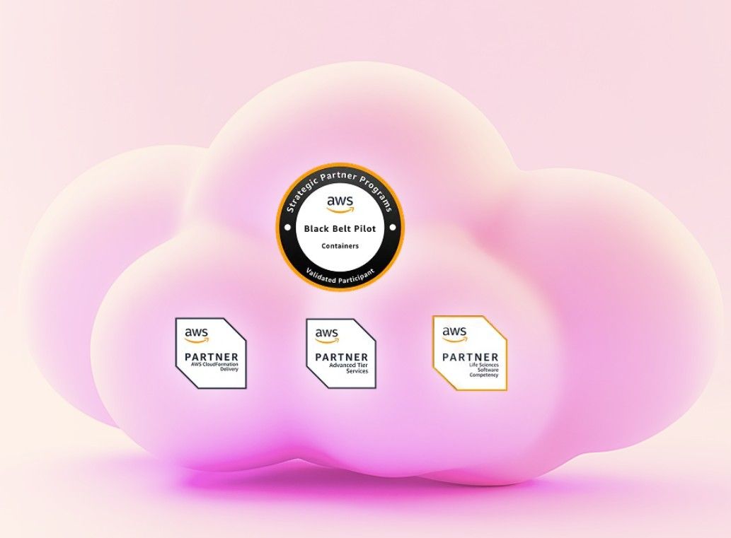 Pink cloud with AWS partner awards