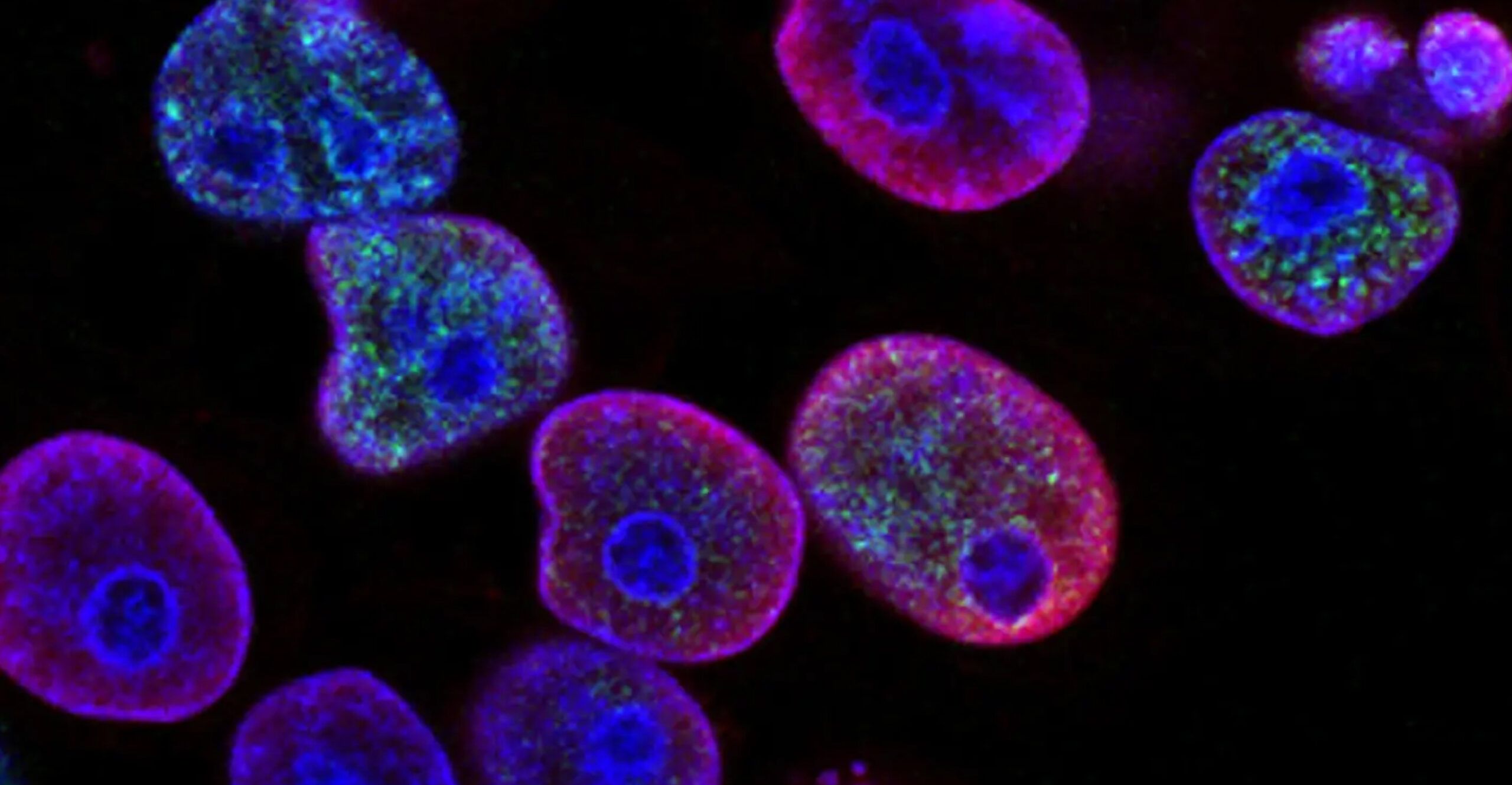 Featured image for: Kaiko creates a strong foundation to scale