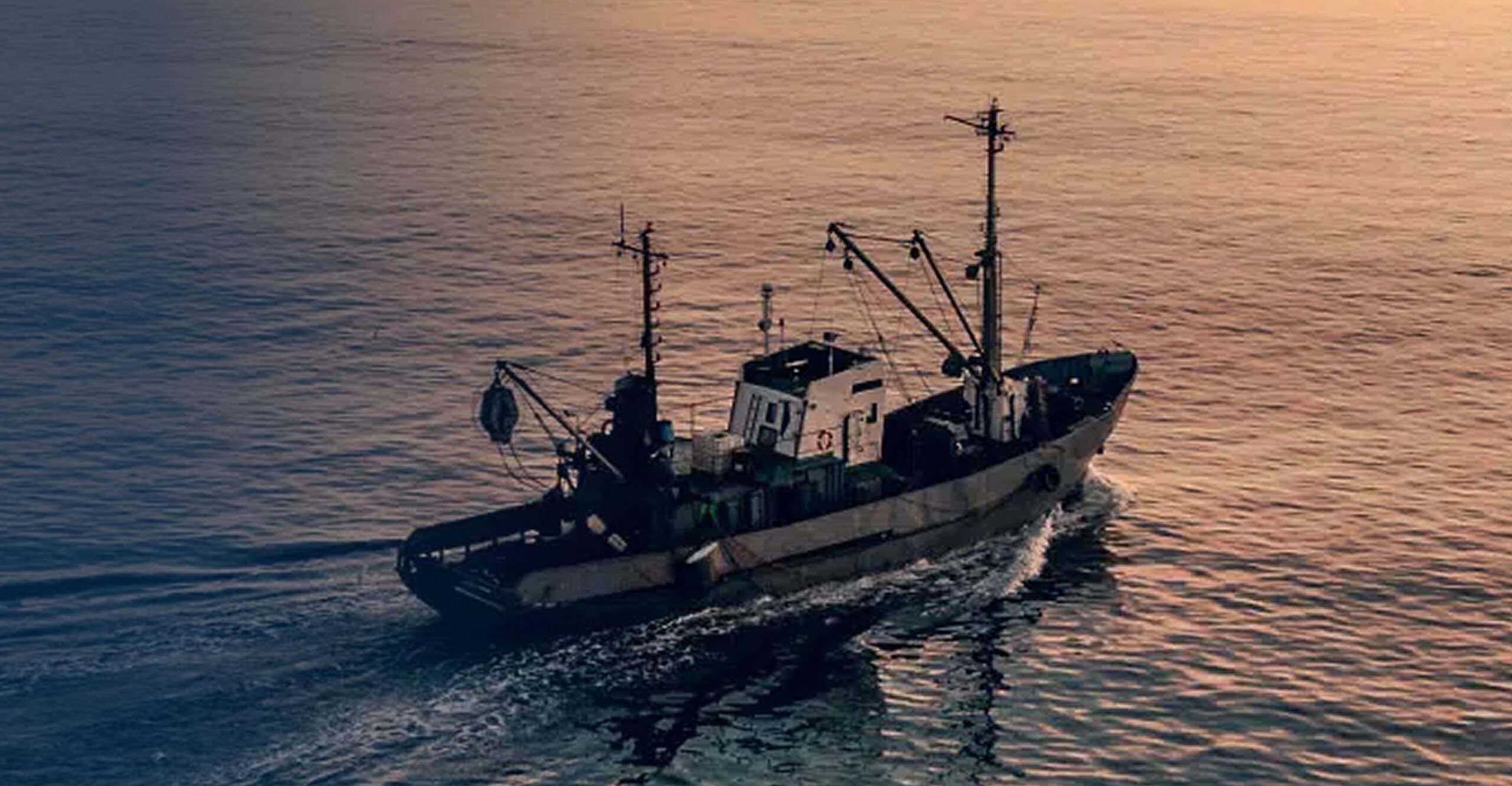 Featured image for: Last Tow transforms with an insights-oriented data solution