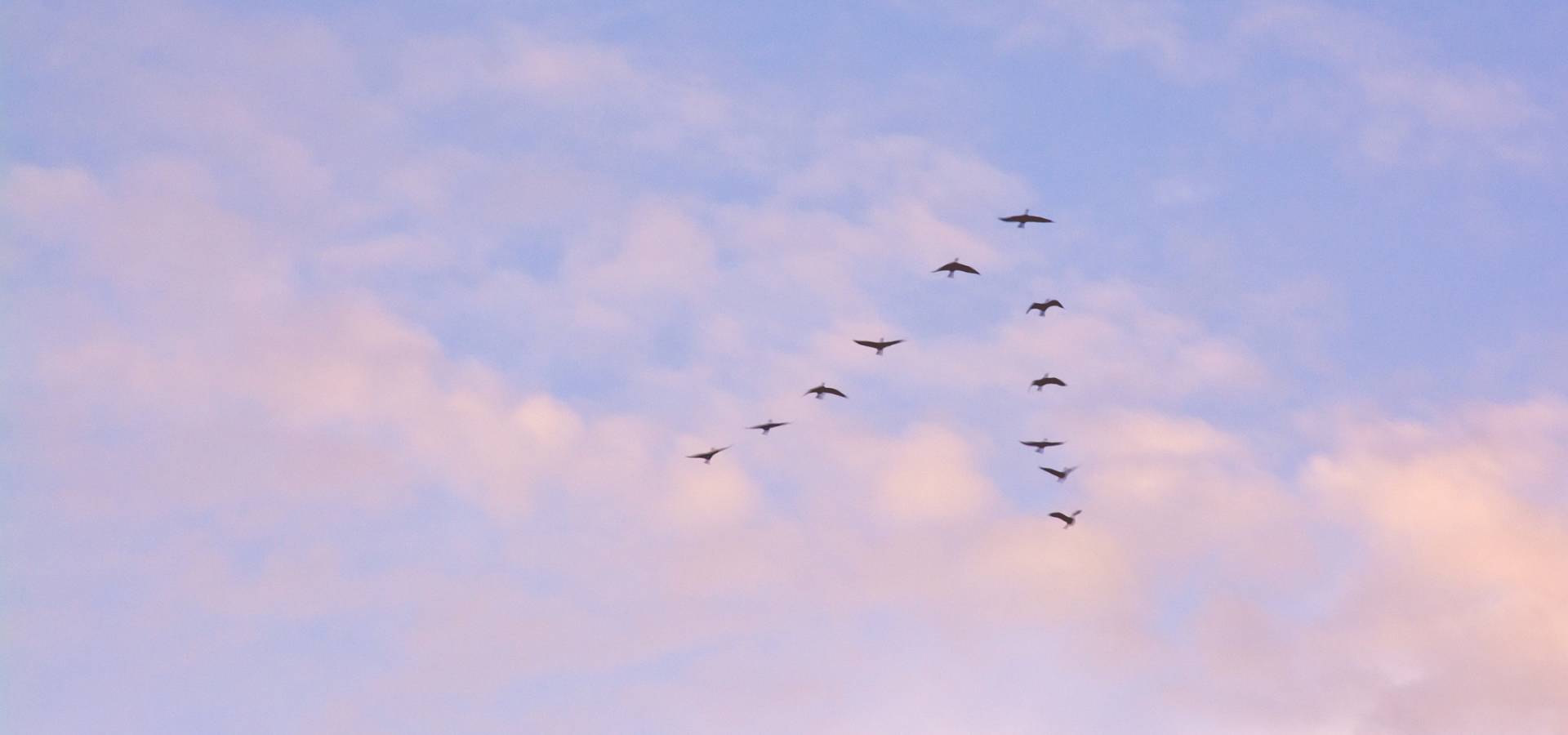 Featured image for: Migrating Atlassian applications from server to cloud: FAQ