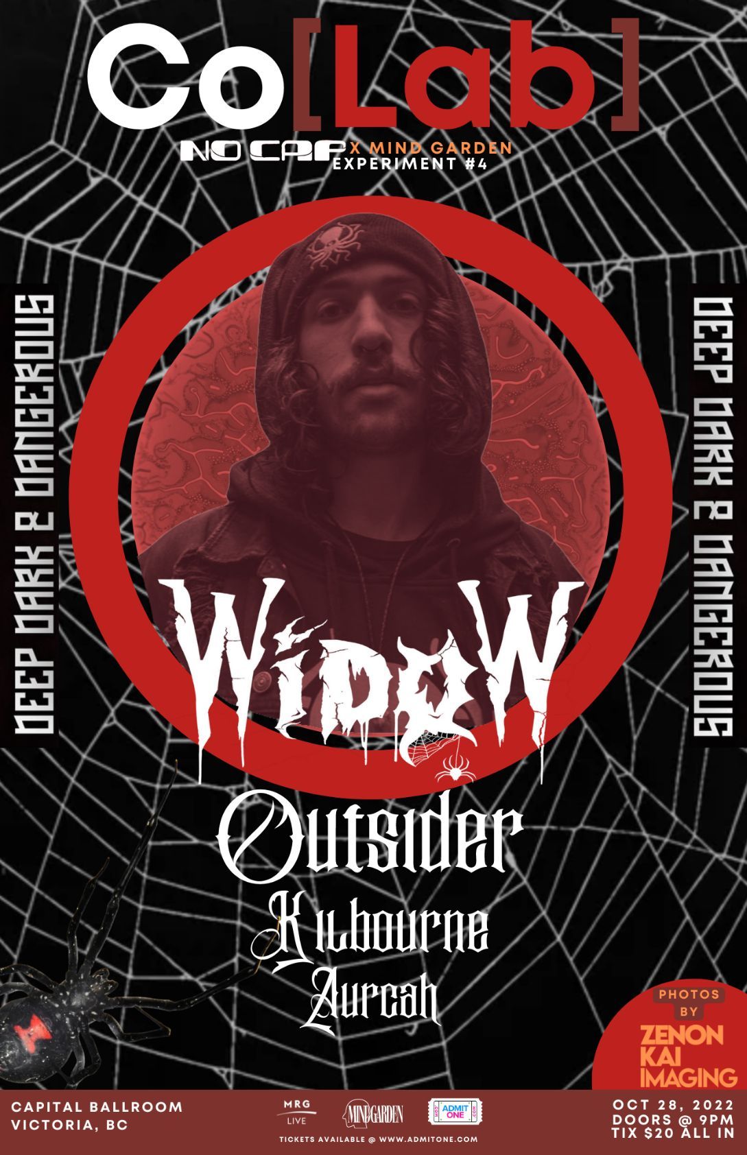Widow - Poster (11 x 17)