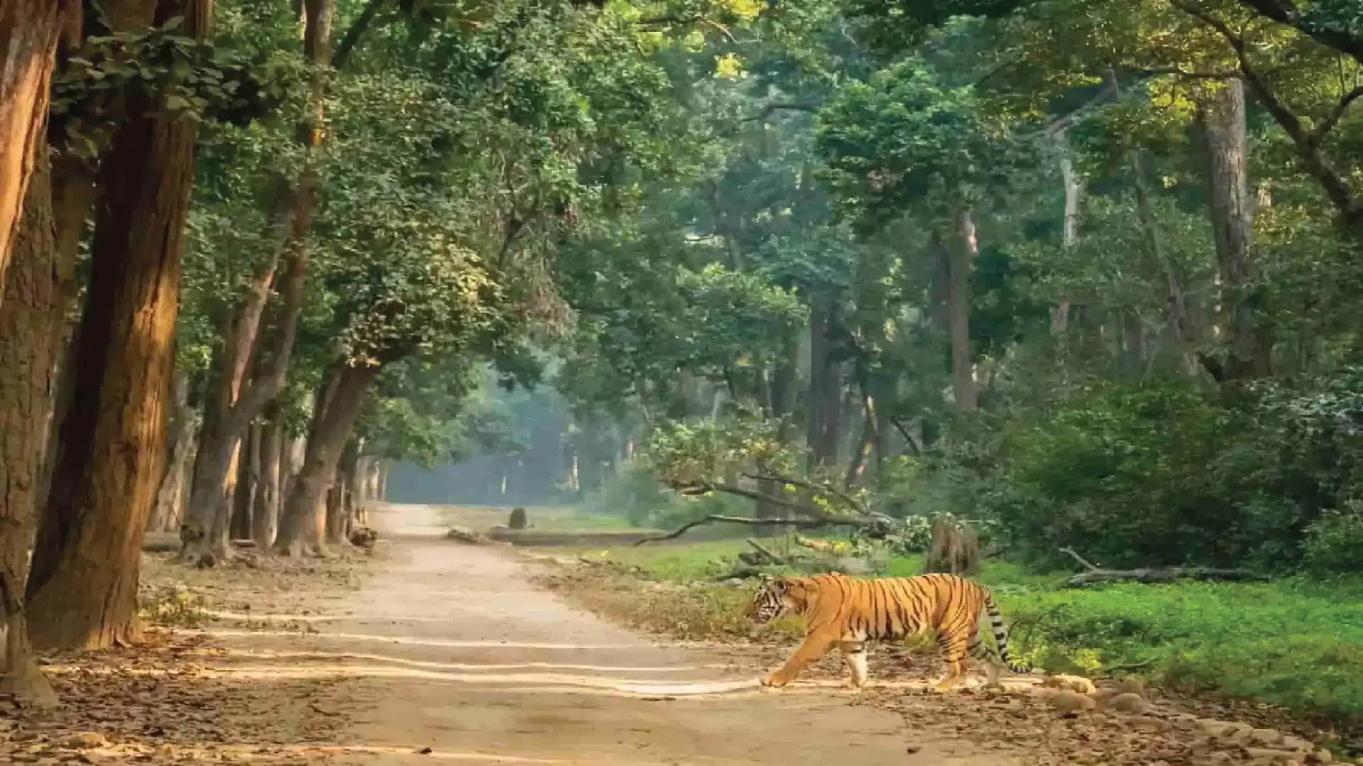 kathgodam-jimcorbett