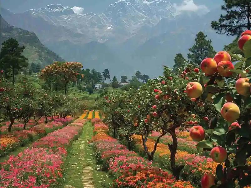 Kathgodam to Ranikheet