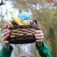 Een mand met voedsel en een wereldbol.