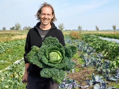 Ledjaar en kool