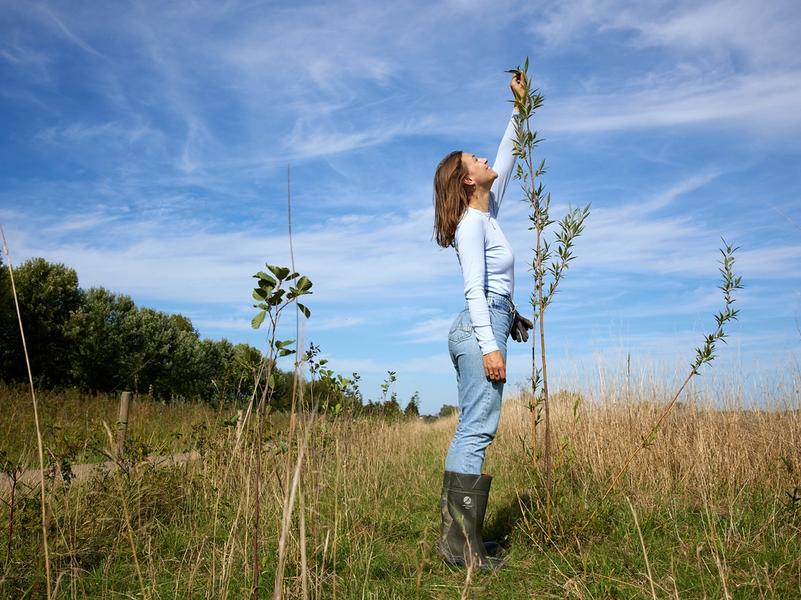 Katja Zeerus in Voedselbos de Laar - de Jonge Voedselbosboeren