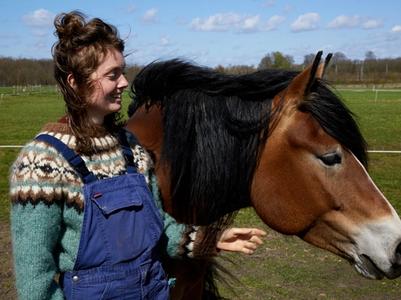 Marlijn met haar Zweedse werkpaard