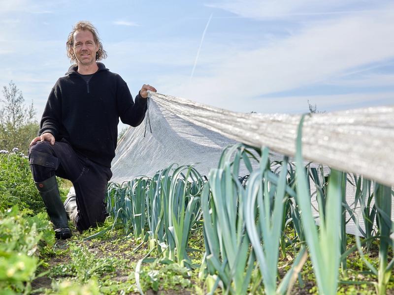 Het succes van Herenboerderij Aan den Drecht