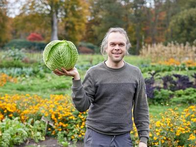 Johannes Regelink, boer met kool