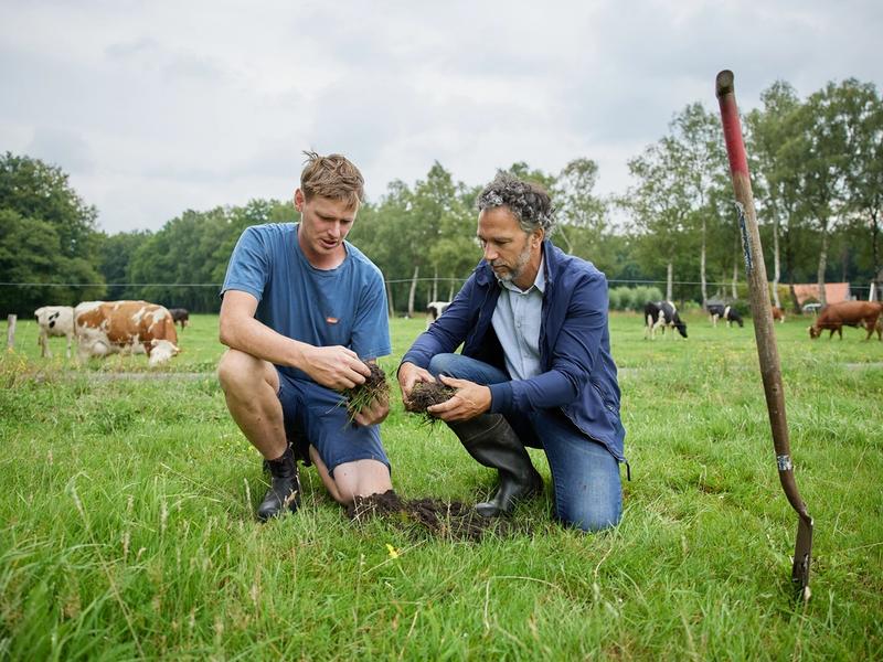 Vrije grond voor Urtica de Vijfsprong 