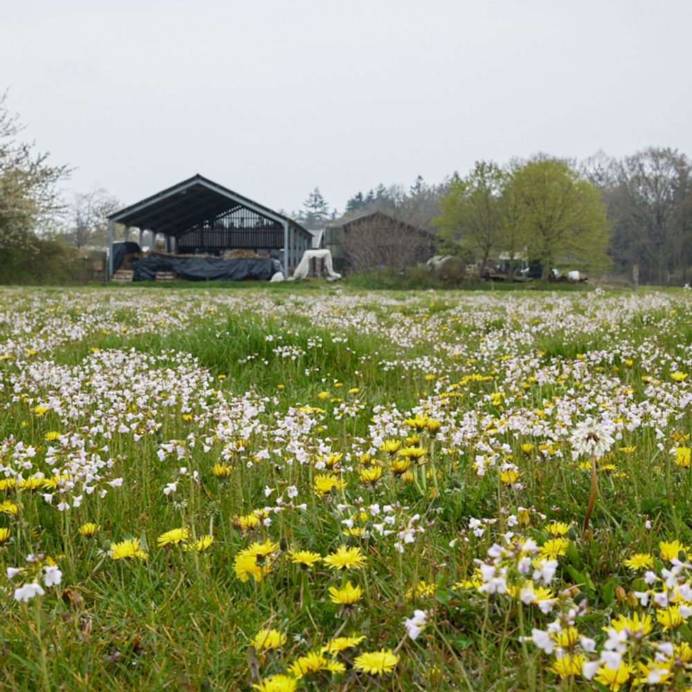 Afbeelding van de boeren van Vrije grond voor de Naoberhoeve