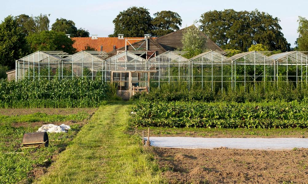Tuinbouw op De Hondspol.