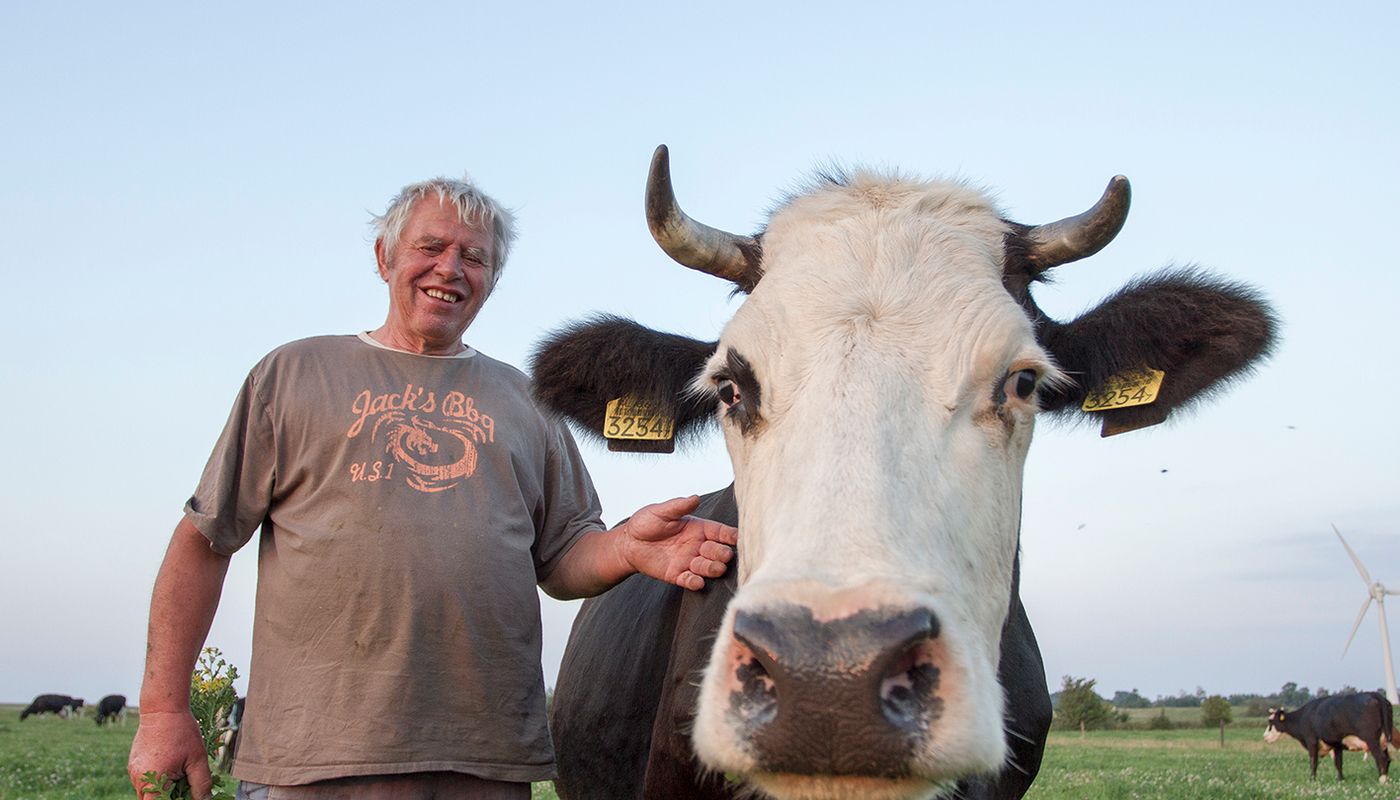 Boer met koe