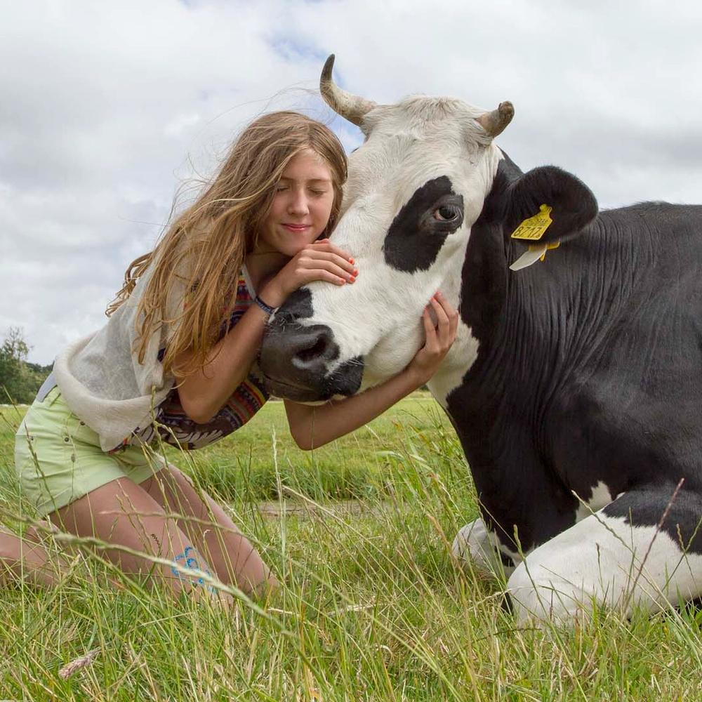 Afbeelding van de boeren van Vrije grond voor nieuwe boerderijen