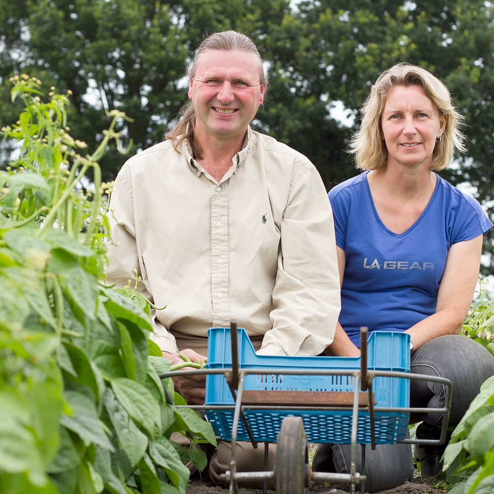 Afbeelding van de boeren van Vrije grond voor De Kromme Lepel