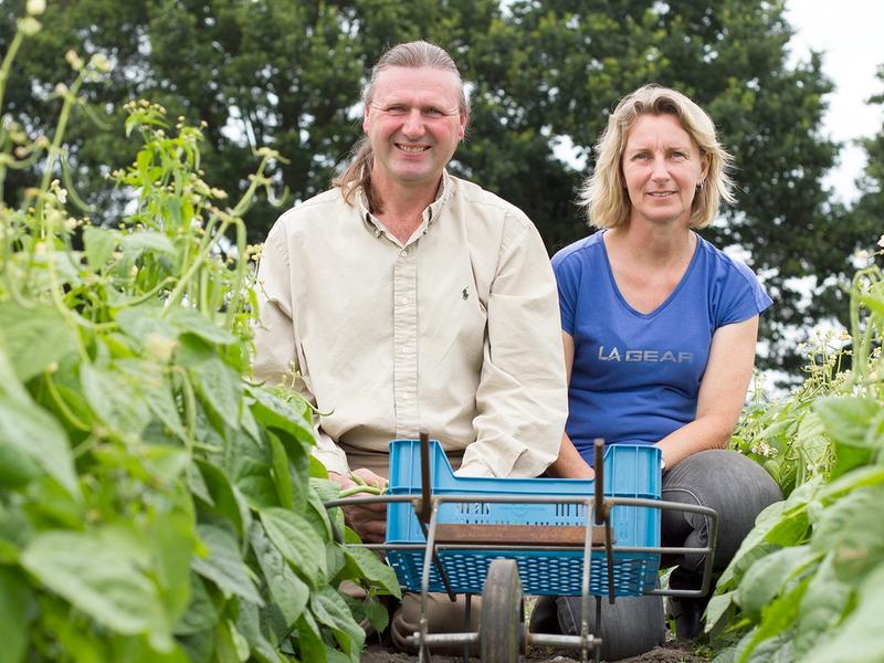 Tuinbouw op De Kromme Lepel
