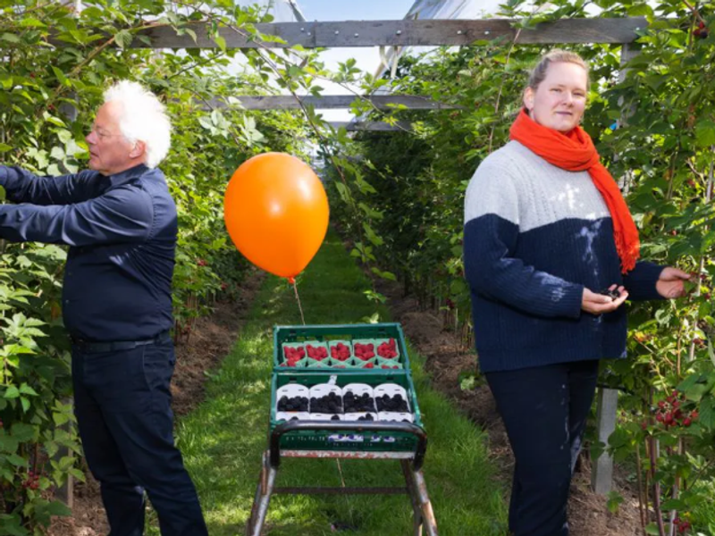 Aardpeer is nummer 1 van Trouw Duurzame 100