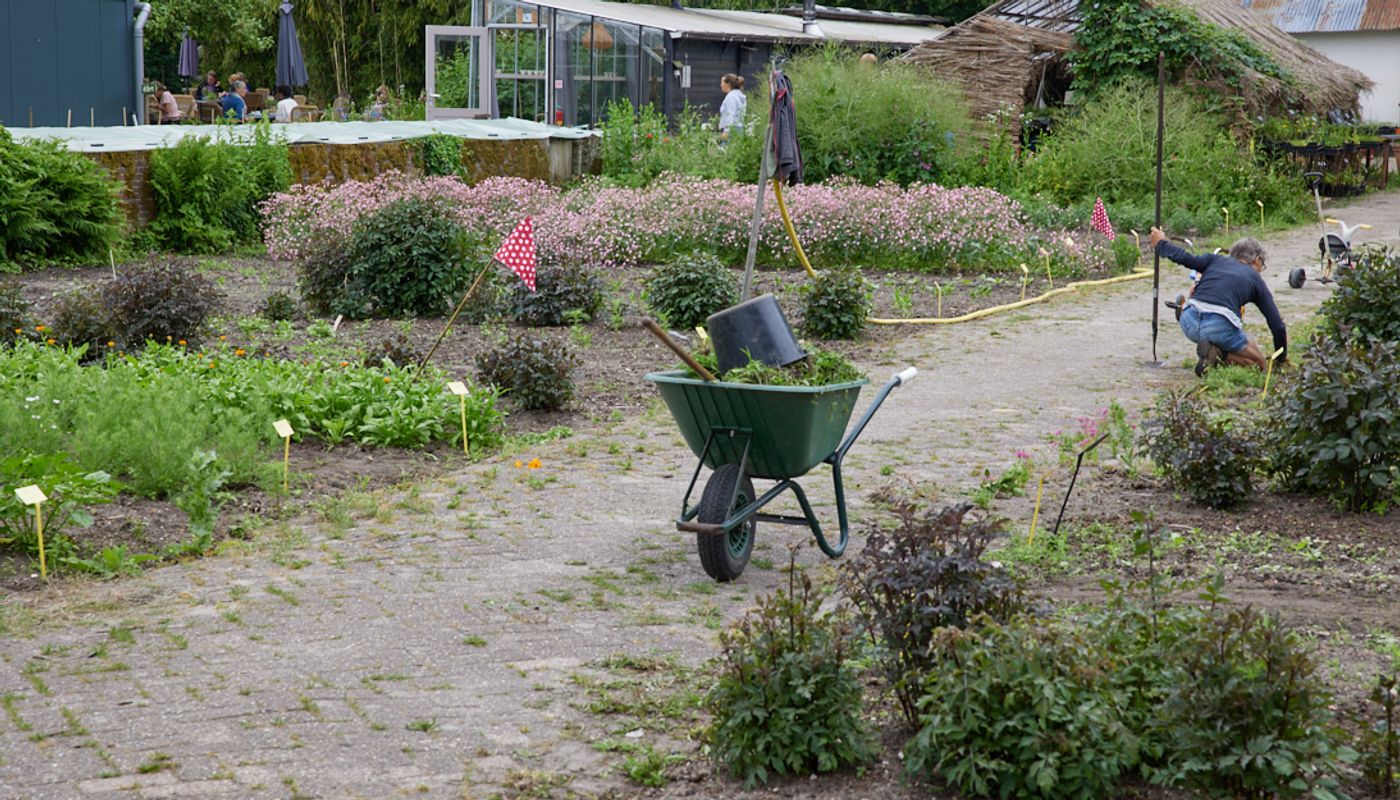 Aan het werk op Land en Boschzigt