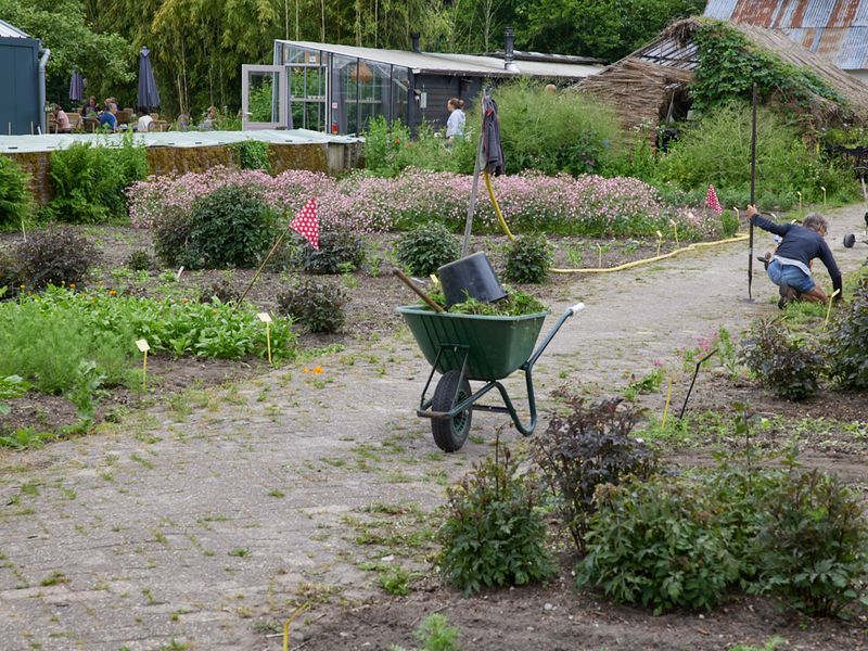Aan het werk op Land en Boschzigt