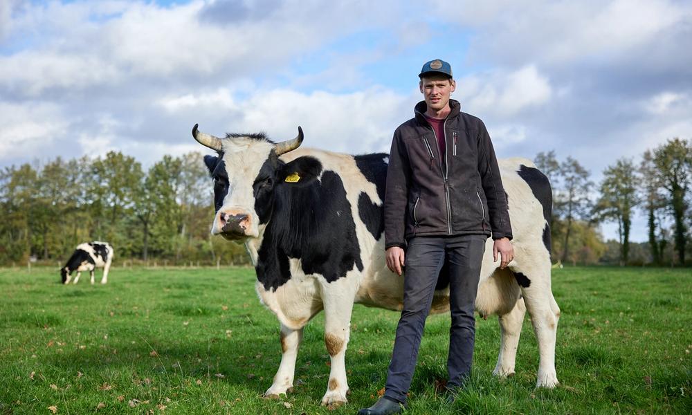 Boer Guus met koe in weiland