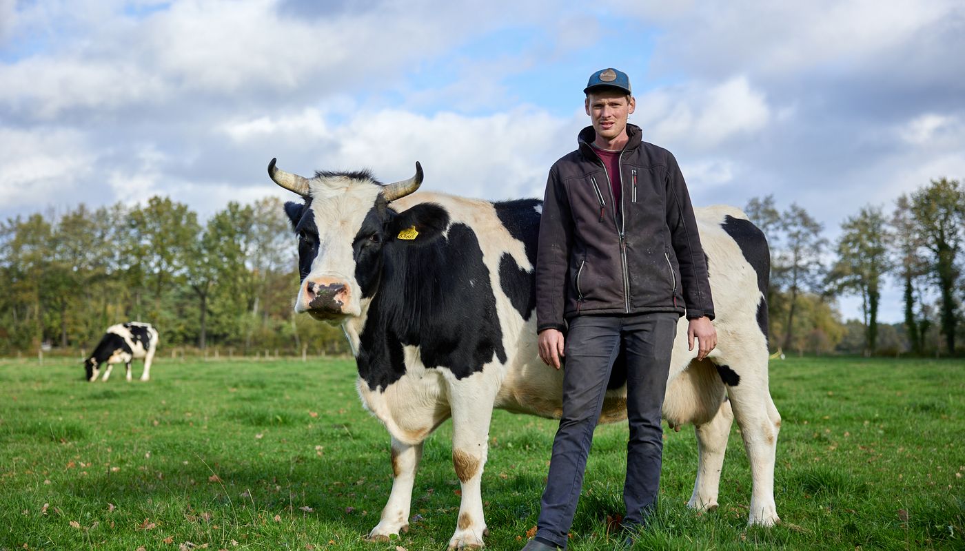 Boer Guus naast een koe met hoorns in het weiland.