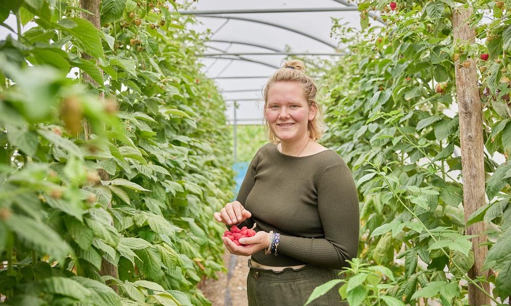 Willemien met een hand vol frambozen.