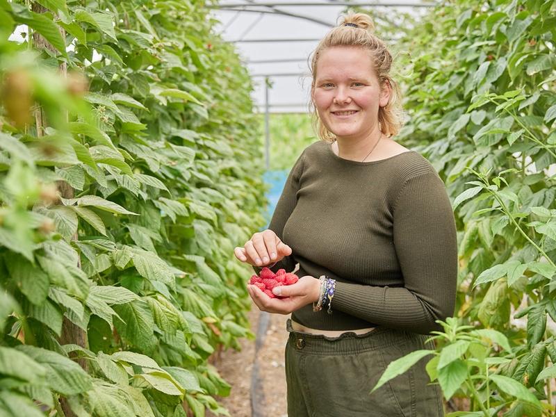 Willemien met twee handen vol frambozen.