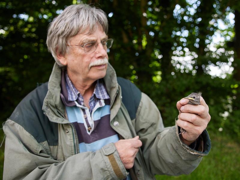 man, met vogel voor onderzoek en nestkastjes