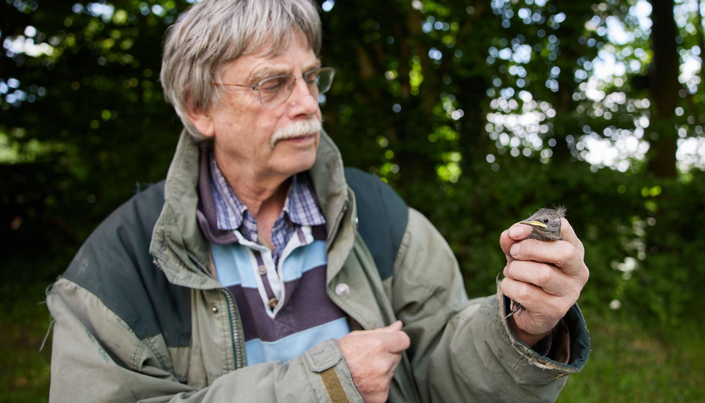 man, met vogel voor onderzoek en nestkastjes