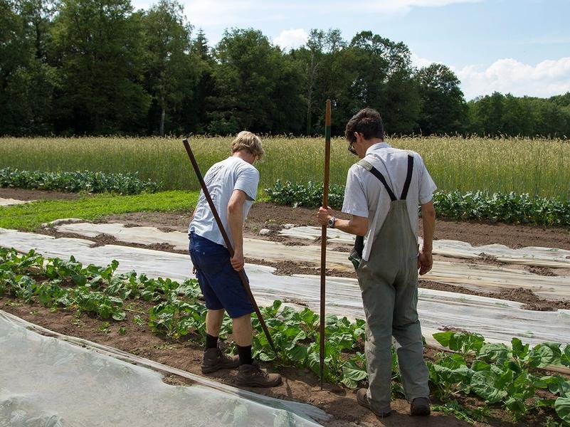 Zorgstichting Urtica schenkt 1,2 hectare aan BD Grondbeheer