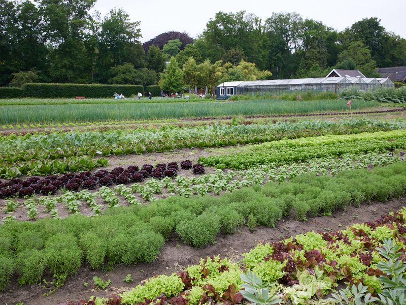 De tuin en kas van Land en Boschzigt