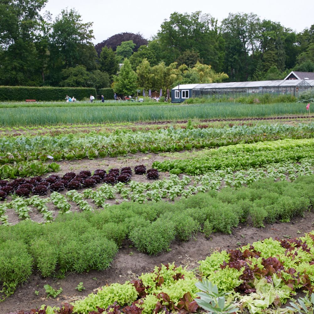Afbeelding van de boeren van Vrije grond voor Land en Boschzigt