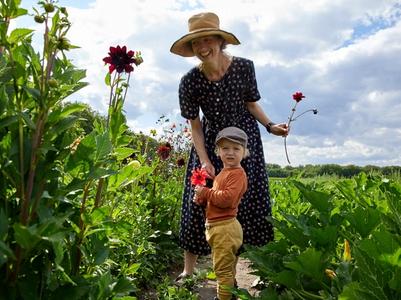 an image of people picking flowers