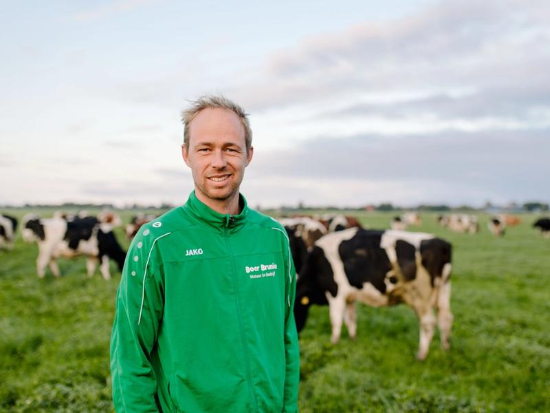 boer Jaring Brunia