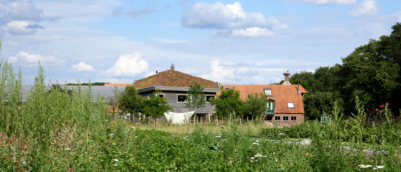 Boerderij in landschap