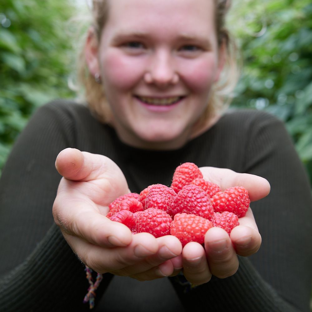 Afbeelding van de boeren van Krachtplekken voor de Toekomst