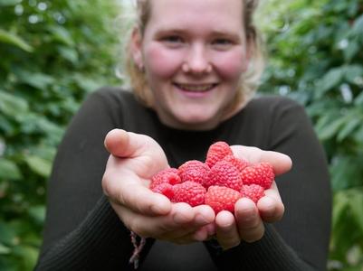 Willemien Brouwer met een handje vol frambozen