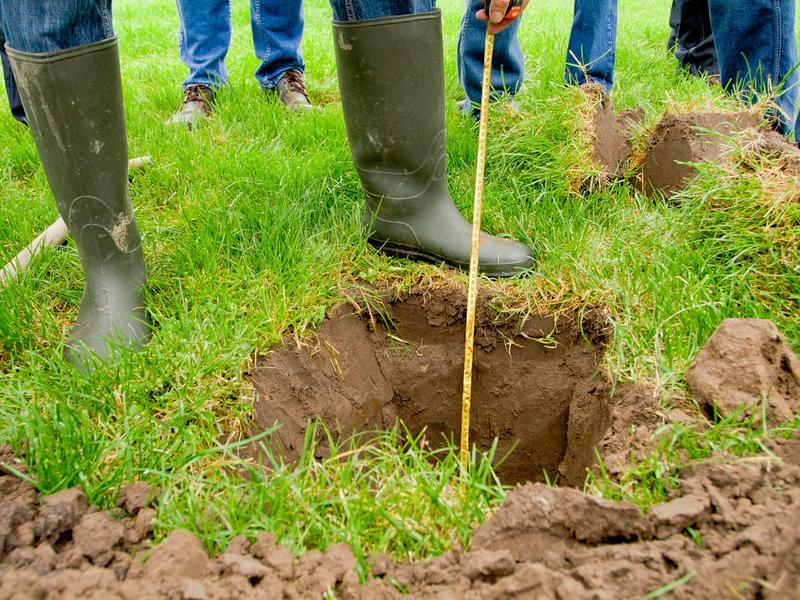 EU Soil Health Law