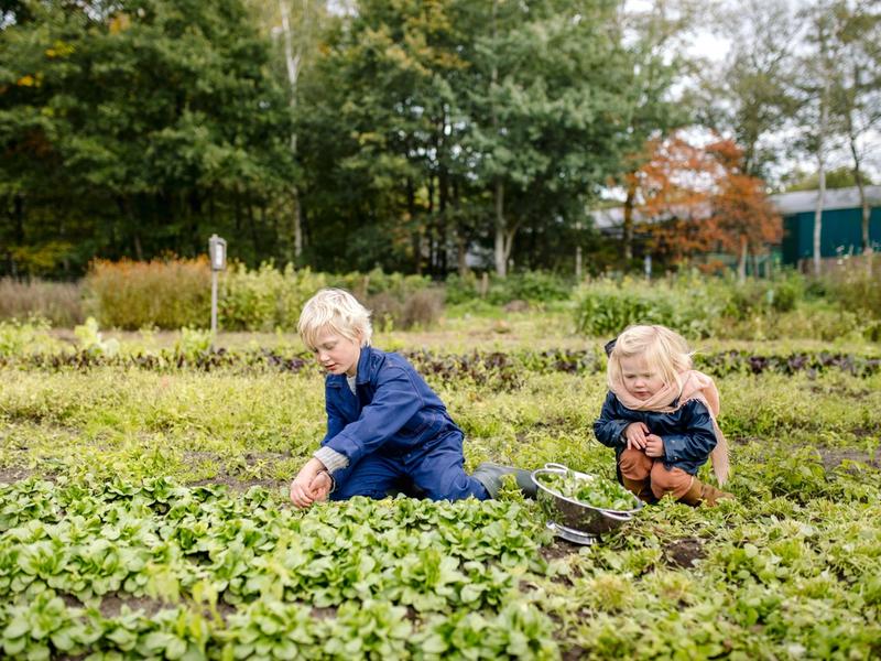 Start uitgifte eerste 'Samen voor grond'-obligaties