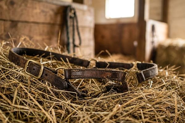 Dlaczego nasza intuicja potrzebuje wsparcia?