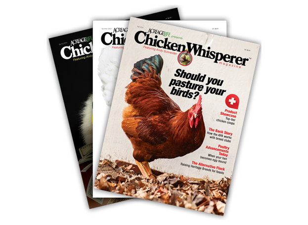 The Chicken Whisperer, Chickens, Healthy Chickens, Poultry, Poultry Science