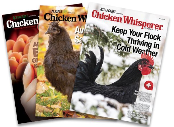 The Chicken Whisperer, Chickens, Healthy Chickens, Poultry, Poultry Science