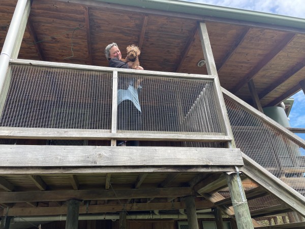 Orange House by the Sea: Biddy Connor