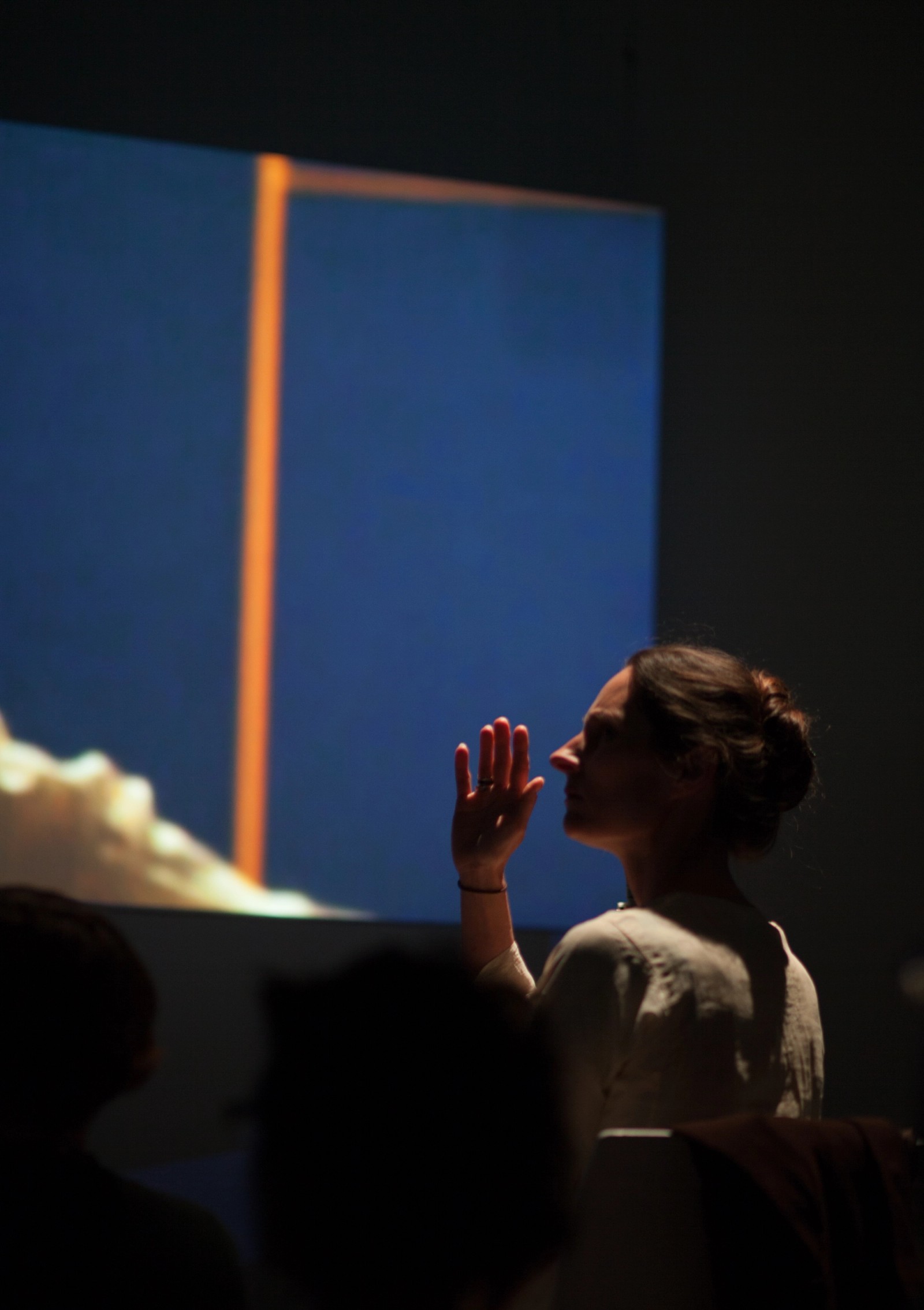 Turbulence Hybrid (2016) (Gallery)