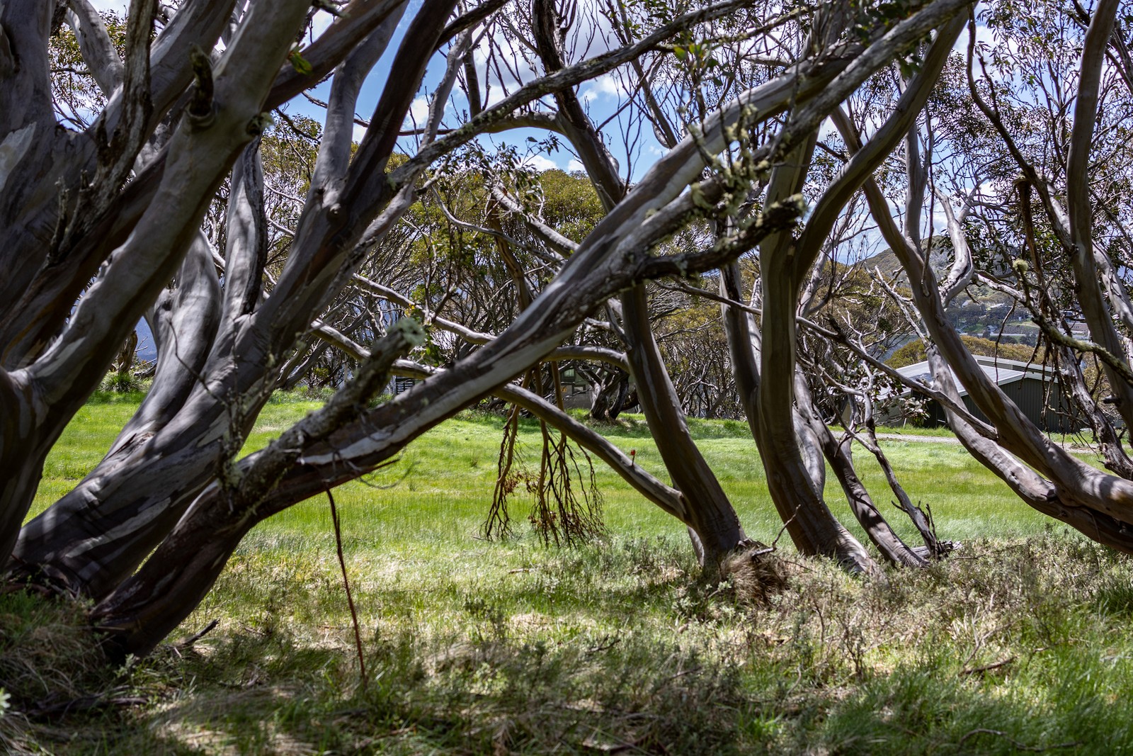 Hi-Viz Satellites LAB 2024 (Gallery)