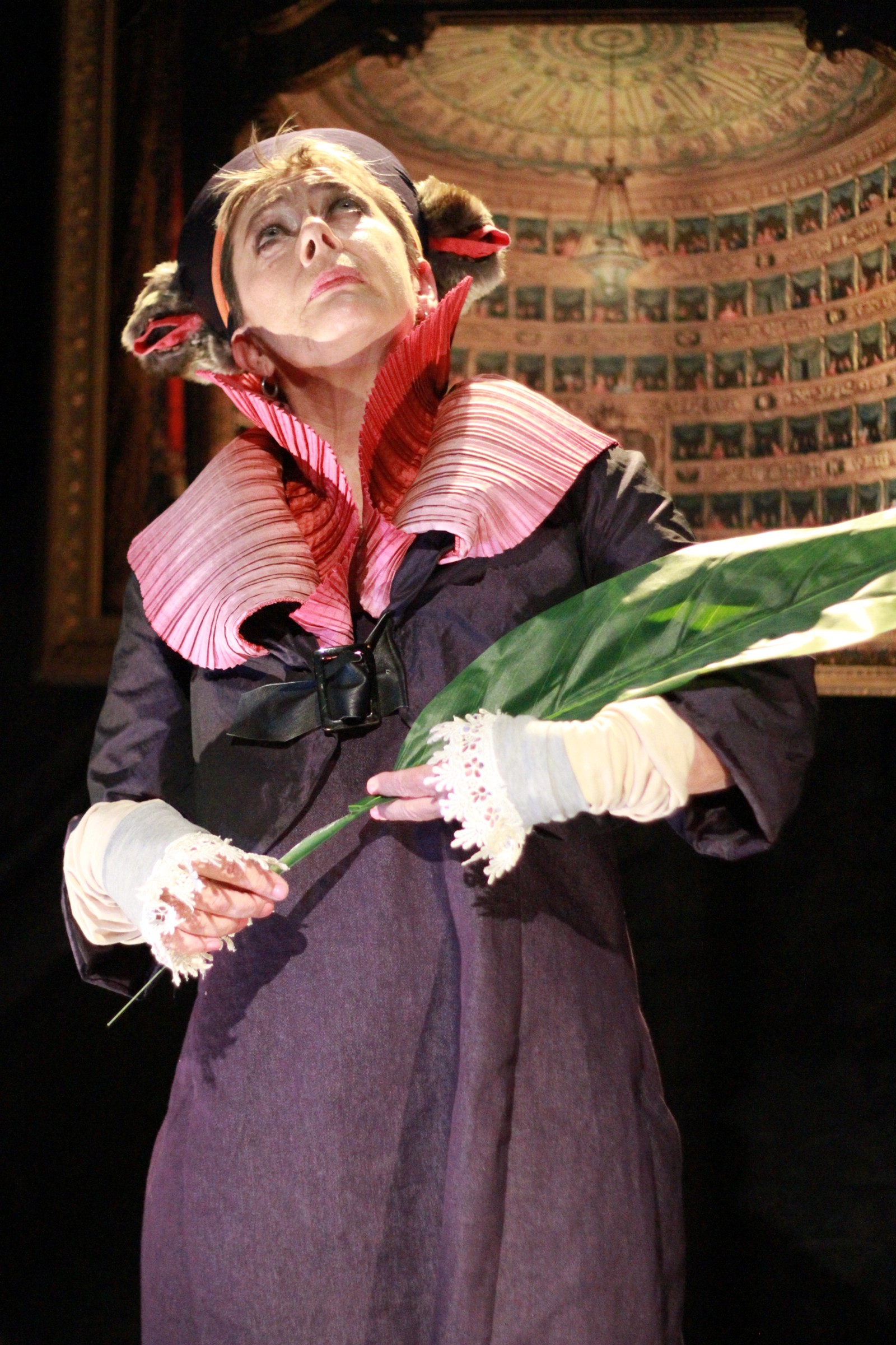 Opera for a Small Mammal (Gallery)